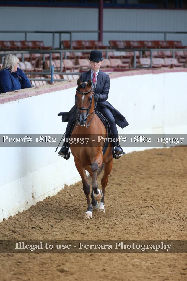 Proof 18R2_03937