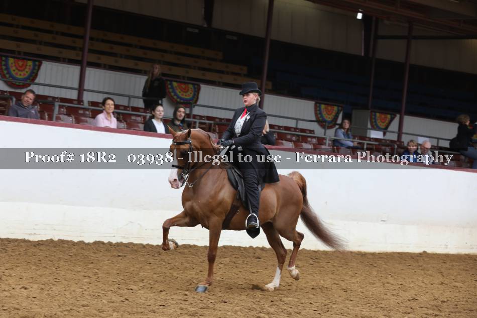 Proof 18R2_03938