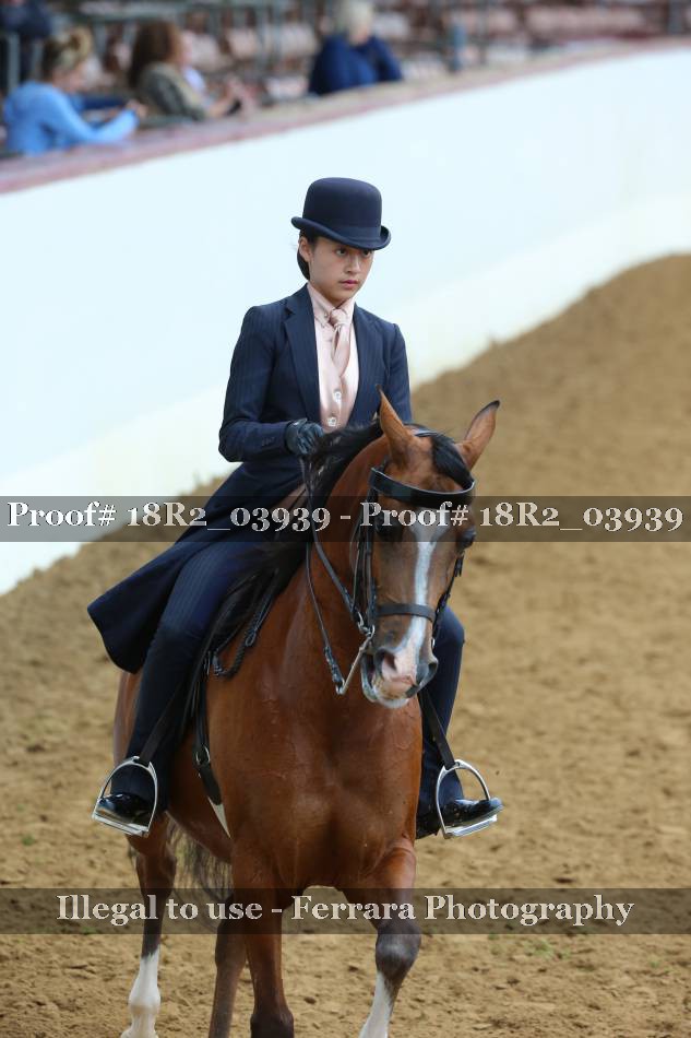 Proof 18R2_03939