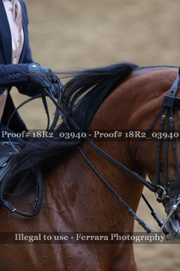 Proof 18R2_03940