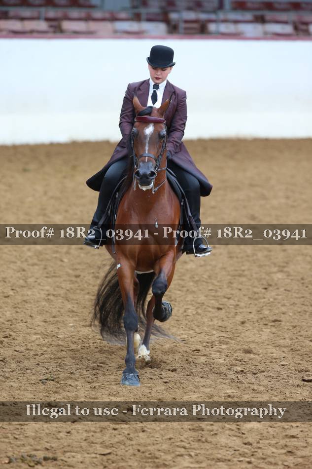 Proof 18R2_03941