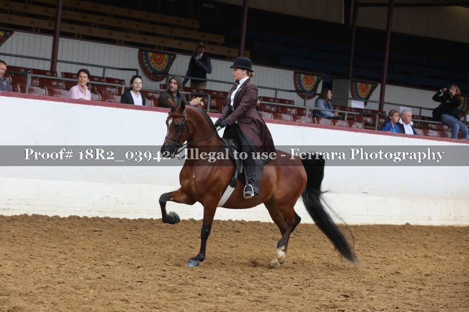 Proof 18R2_03942