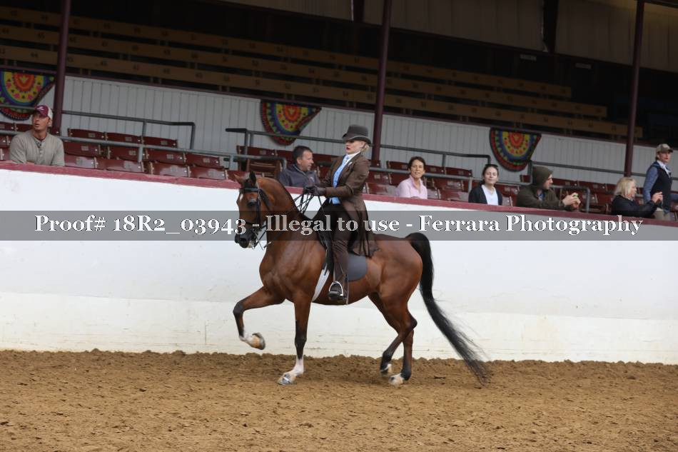 Proof 18R2_03943