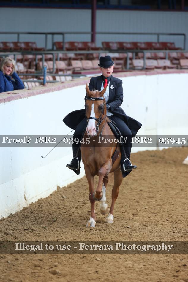 Proof 18R2_03945