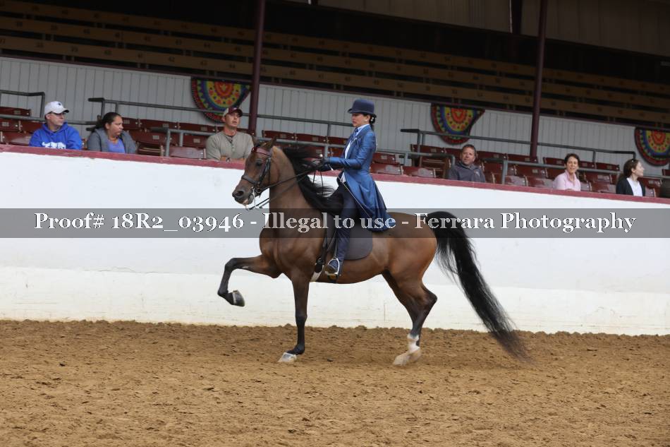 Proof 18R2_03946