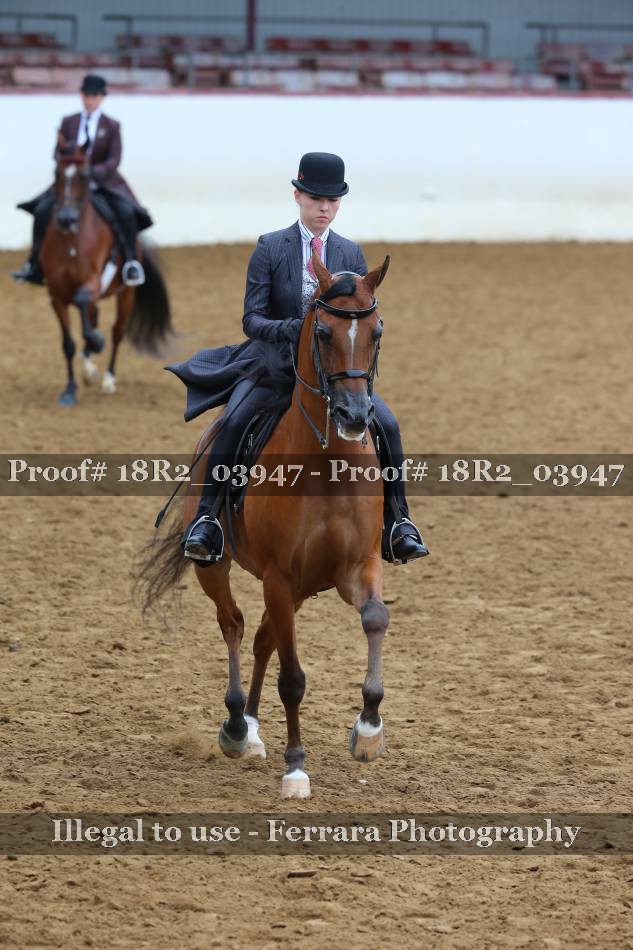 Proof 18R2_03947