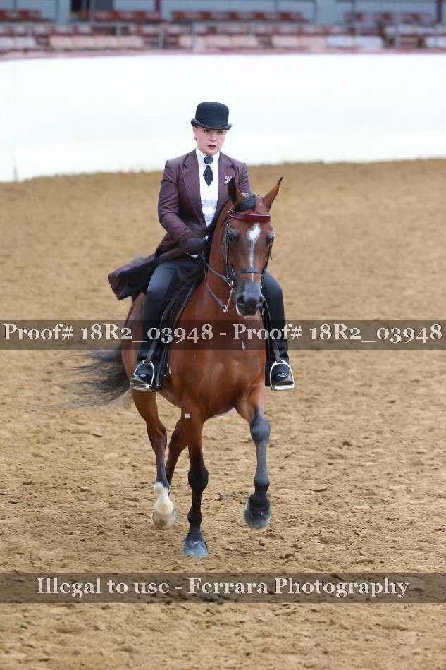 Proof 18R2_03948