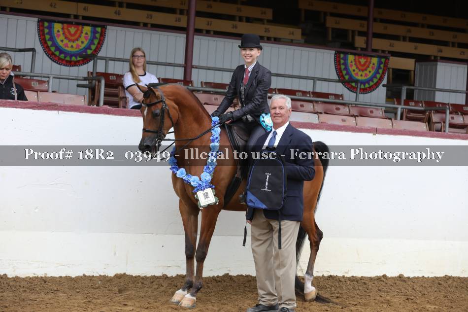 Proof 18R2_03949