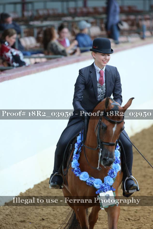 Proof 18R2_03950