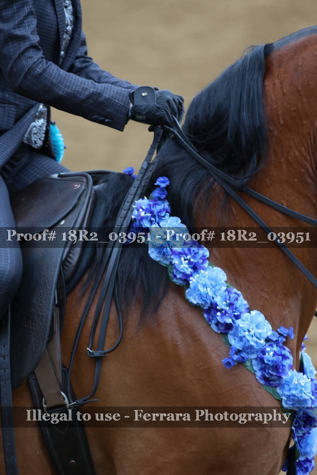 Proof 18R2_03951