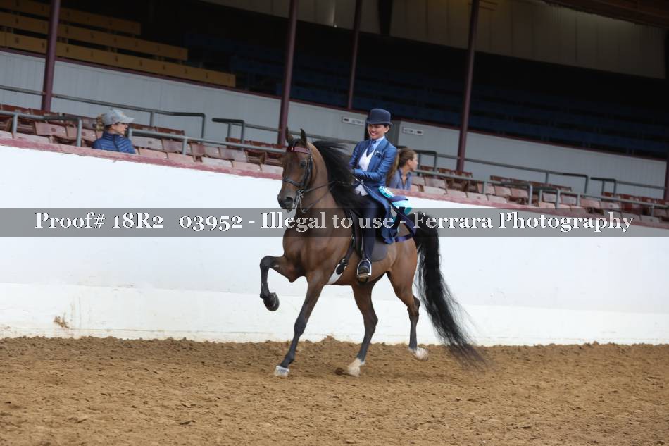 Proof 18R2_03952