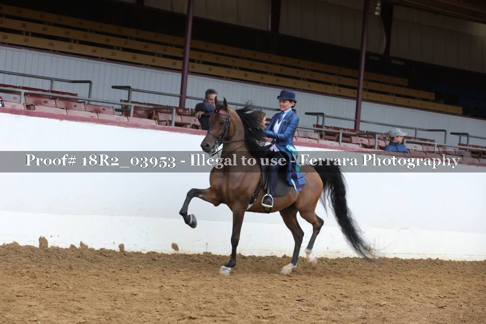 Proof 18R2_03953