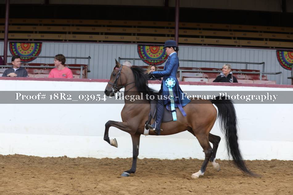 Proof 18R2_03954