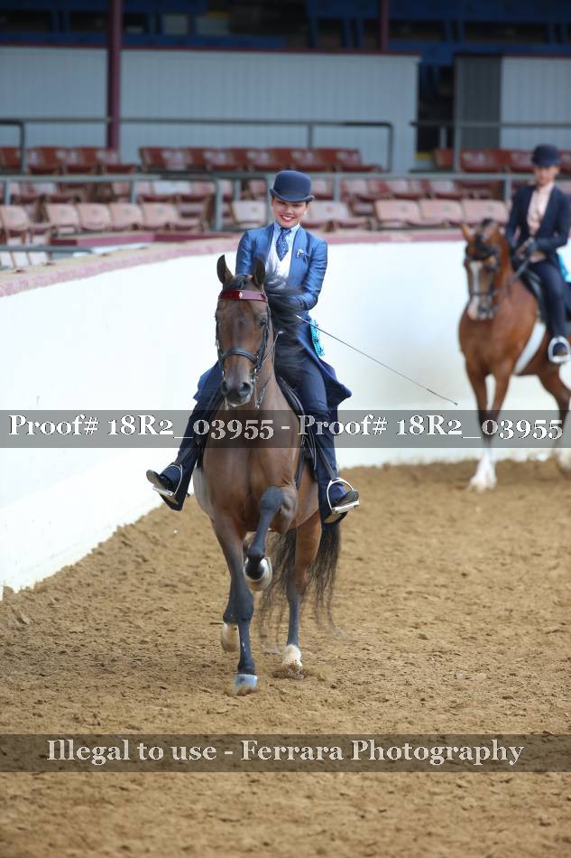 Proof 18R2_03955