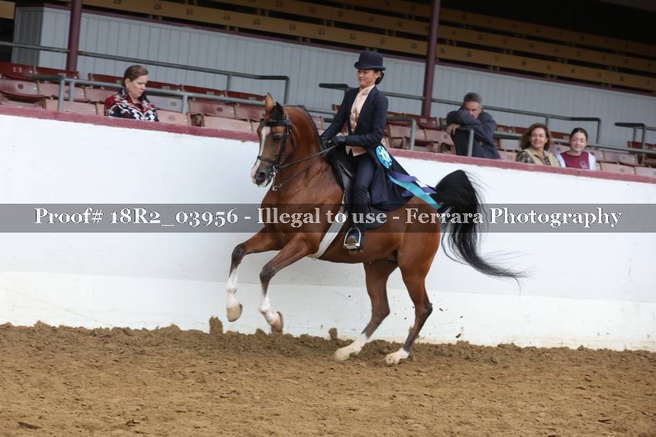 Proof 18R2_03956