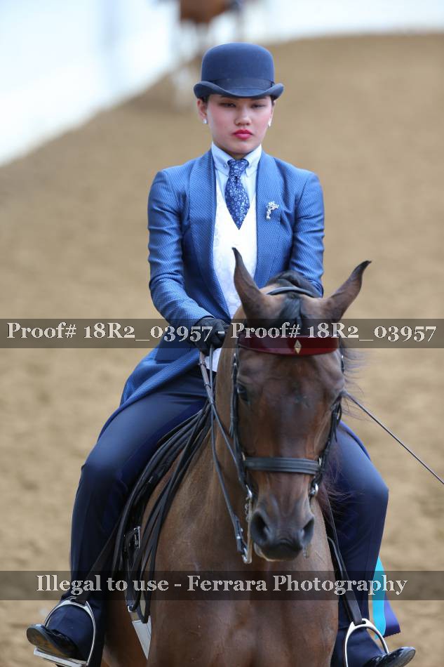 Proof 18R2_03957