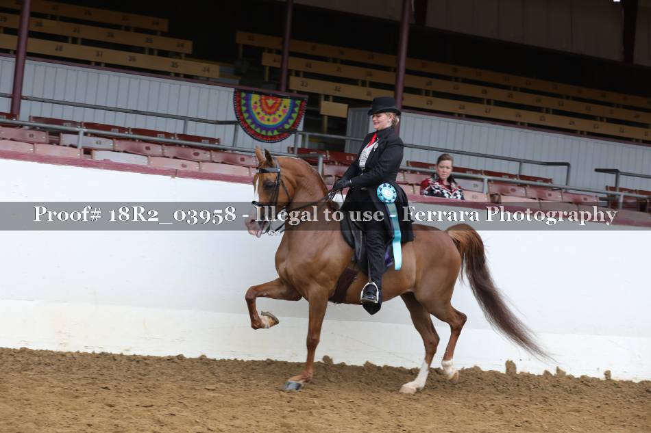 Proof 18R2_03958