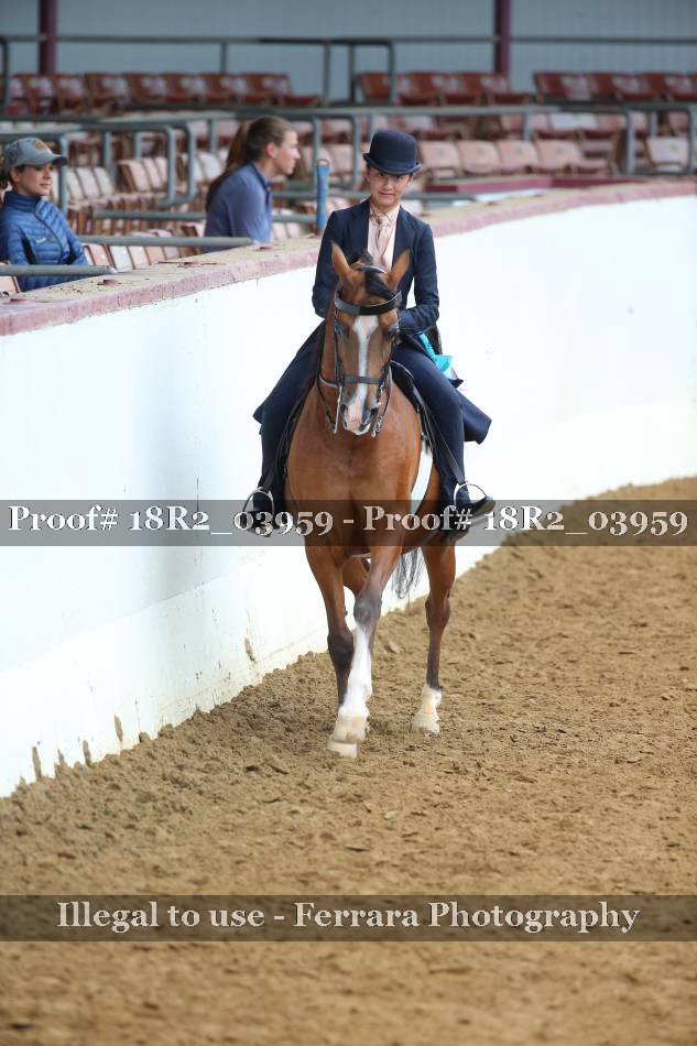 Proof 18R2_03959