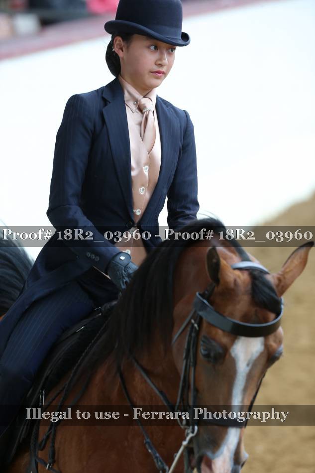 Proof 18R2_03960
