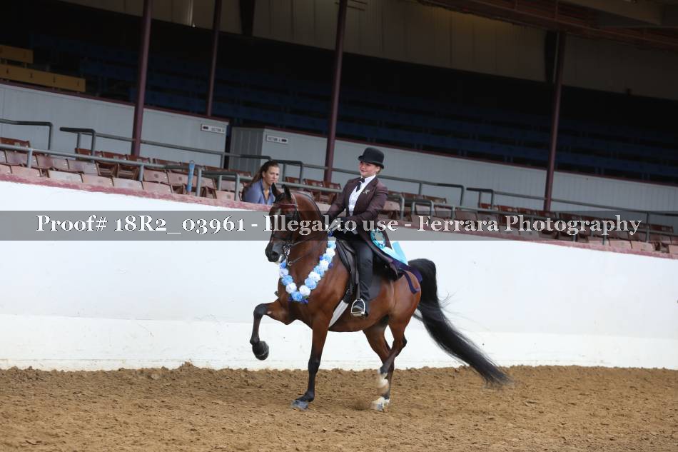 Proof 18R2_03961