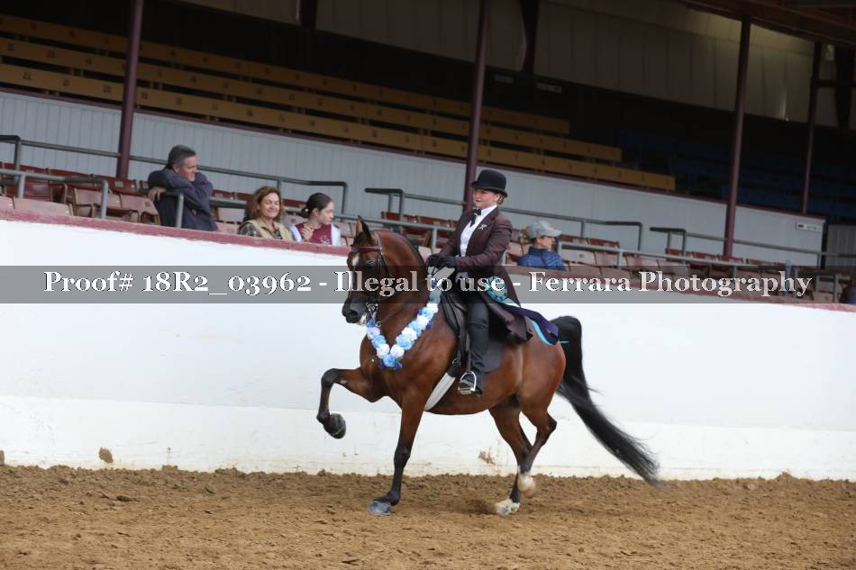 Proof 18R2_03962