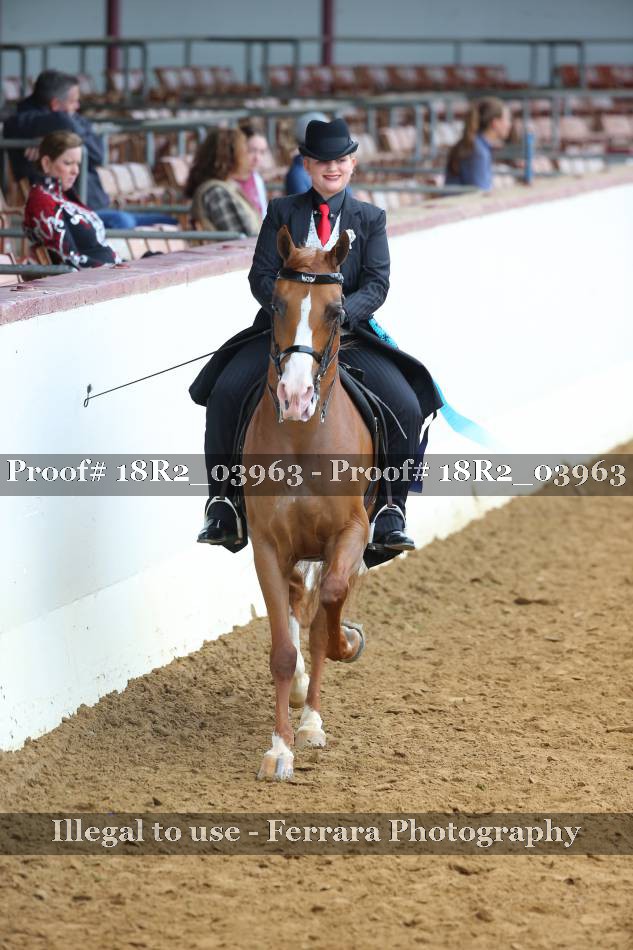 Proof 18R2_03963