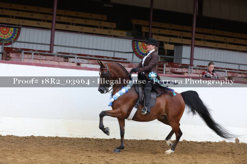 Proof 18R2_03964