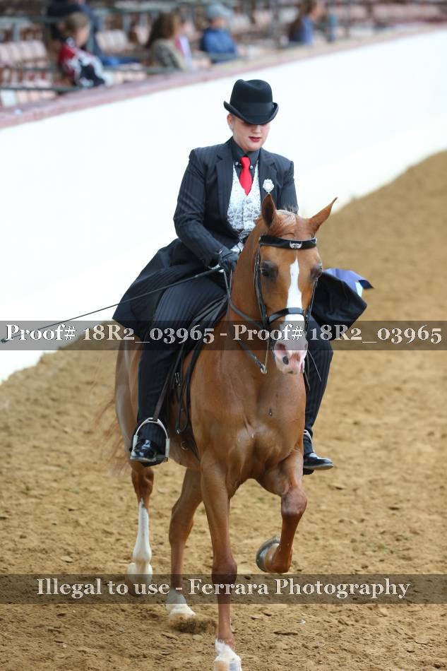 Proof 18R2_03965