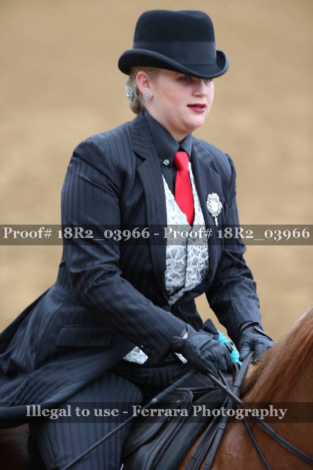 Proof 18R2_03966