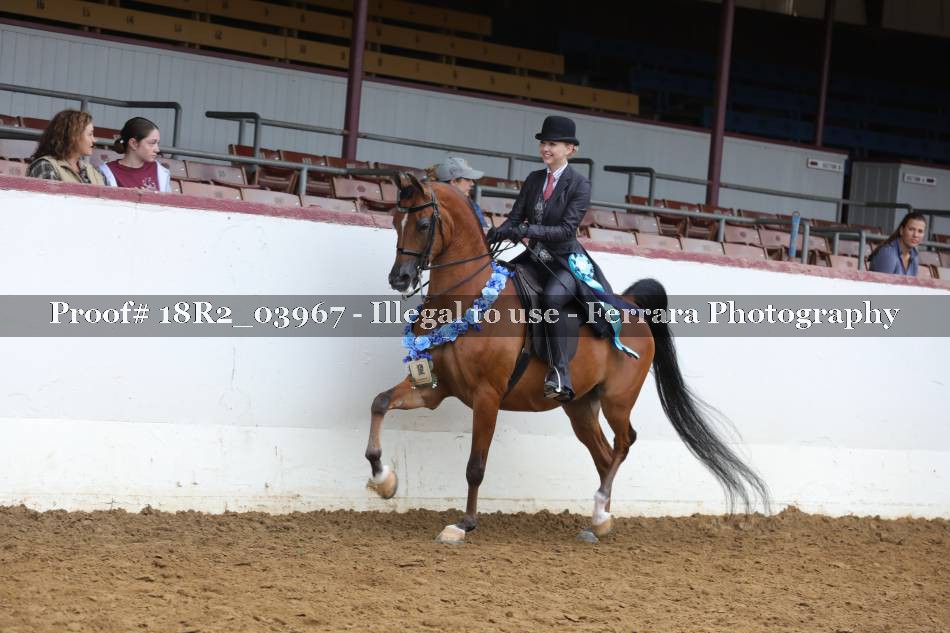 Proof 18R2_03967