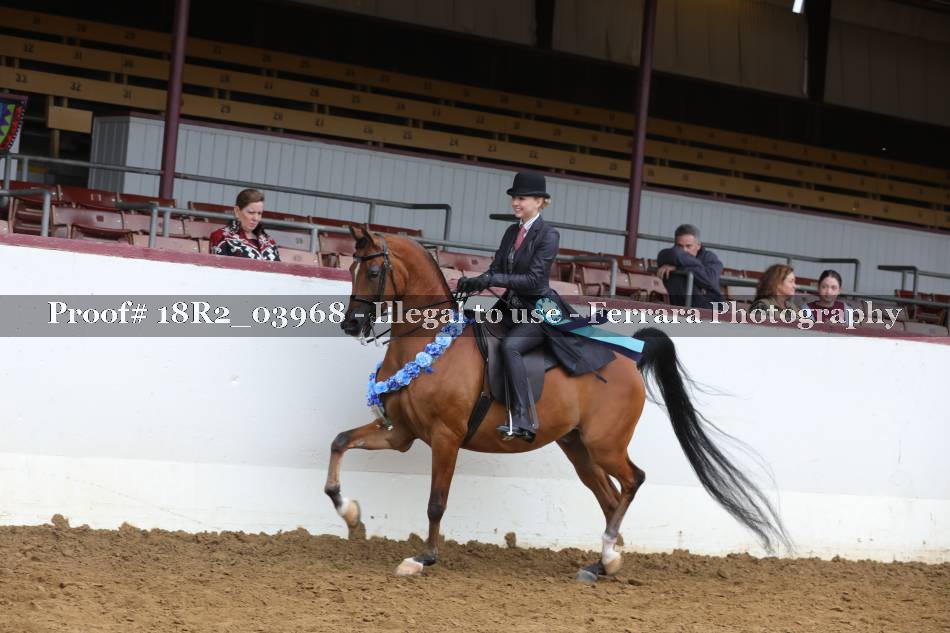 Proof 18R2_03968