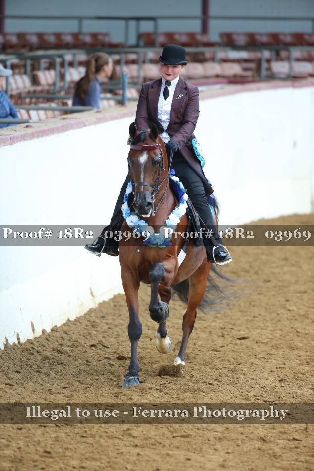 Proof 18R2_03969