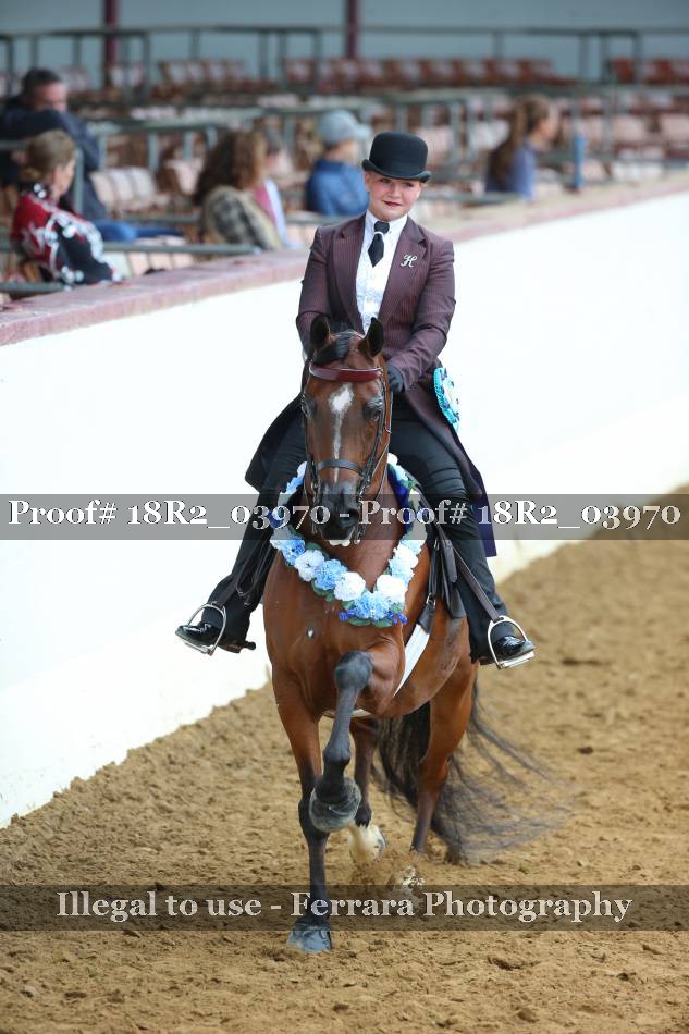 Proof 18R2_03970