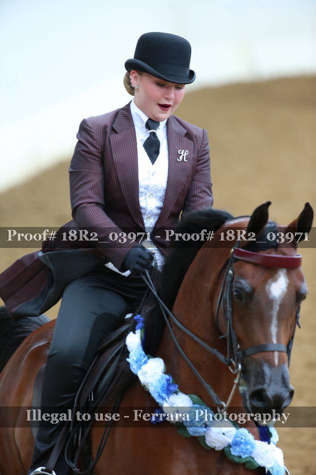Proof 18R2_03971