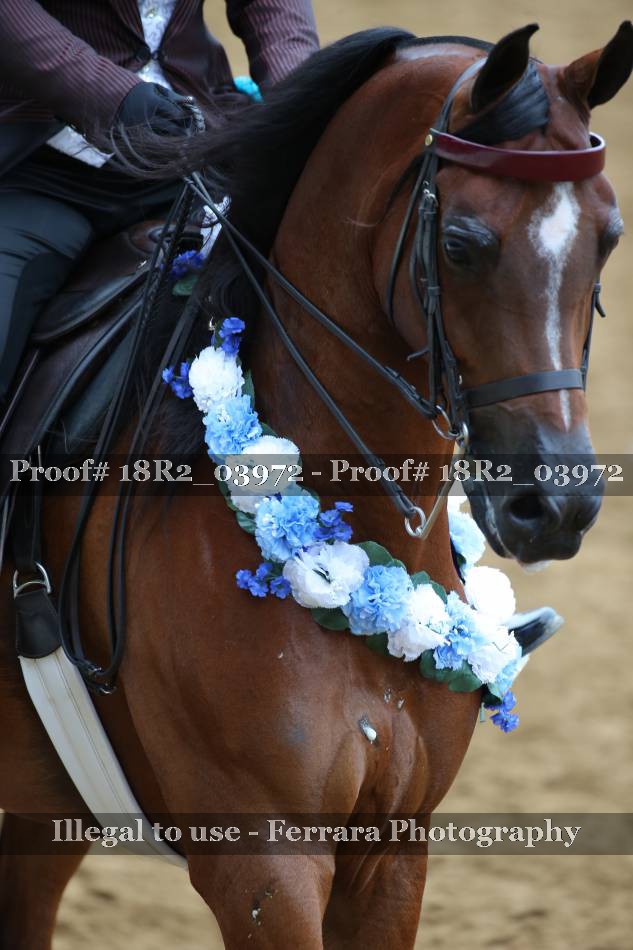 Proof 18R2_03972