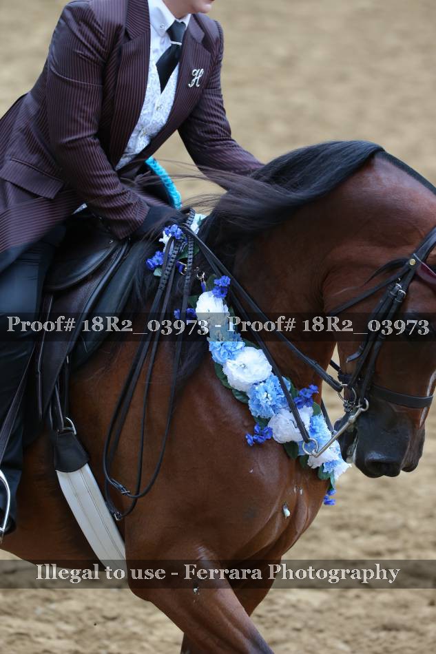 Proof 18R2_03973