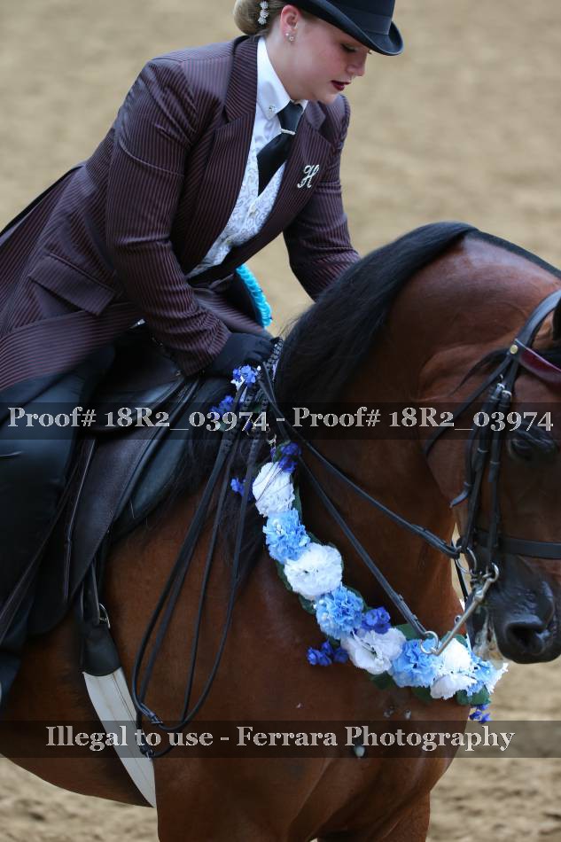 Proof 18R2_03974
