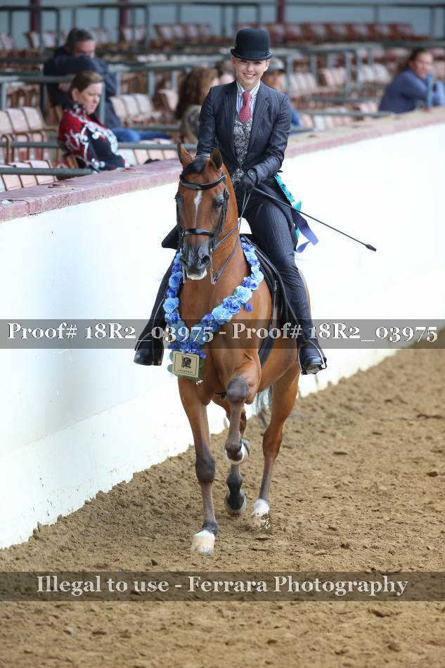 Proof 18R2_03975
