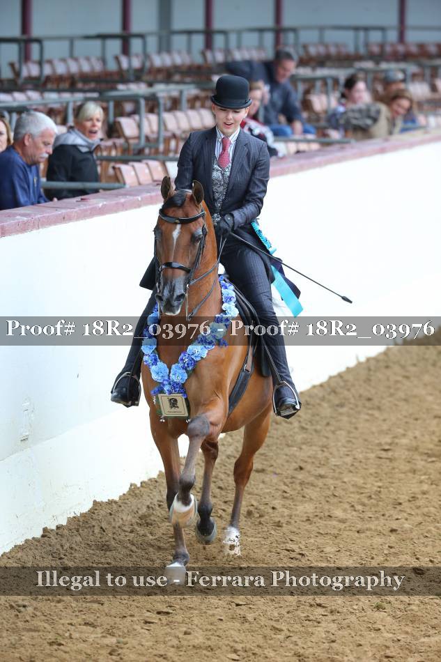 Proof 18R2_03976