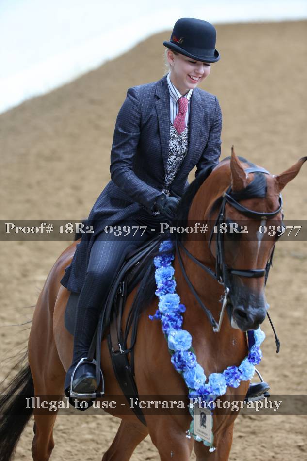 Proof 18R2_03977