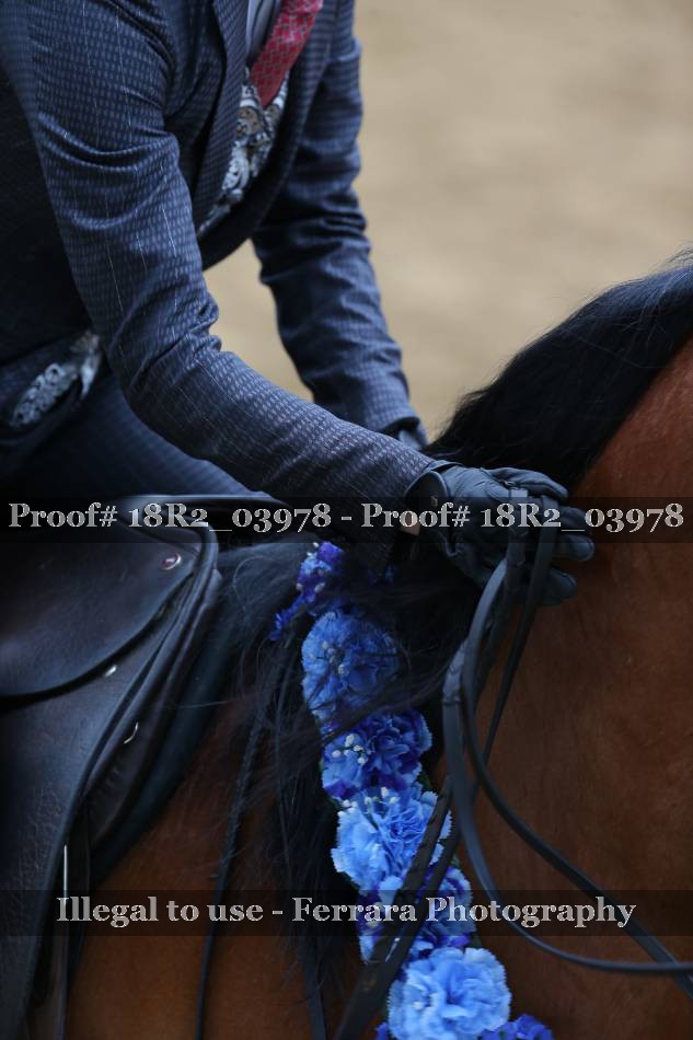 Proof 18R2_03978