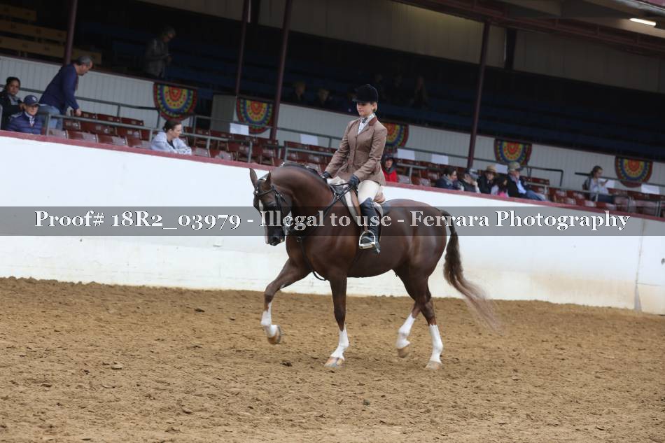 Proof 18R2_03979