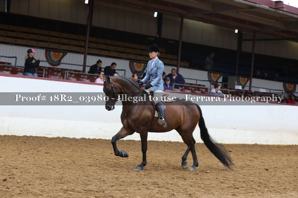 Proof 18R2_03980