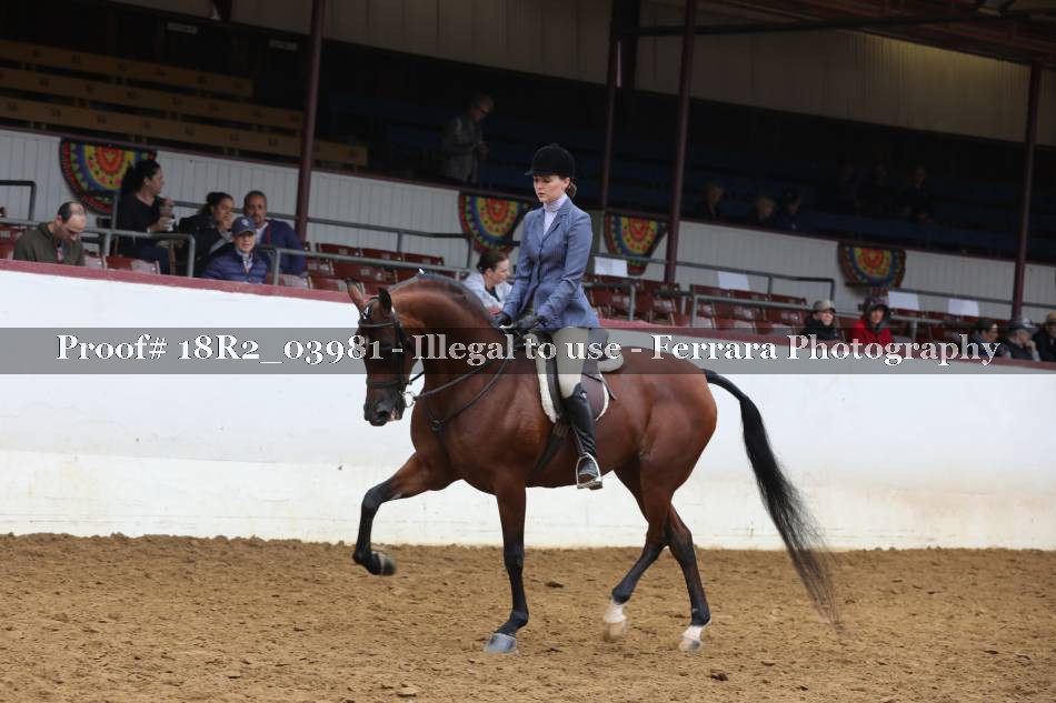Proof 18R2_03981