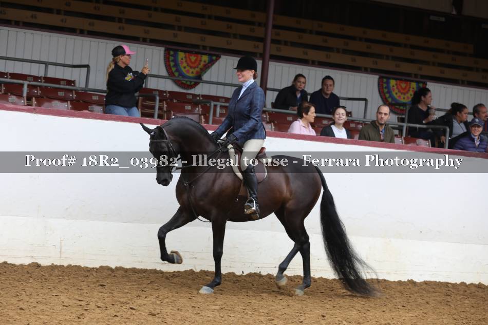 Proof 18R2_03982