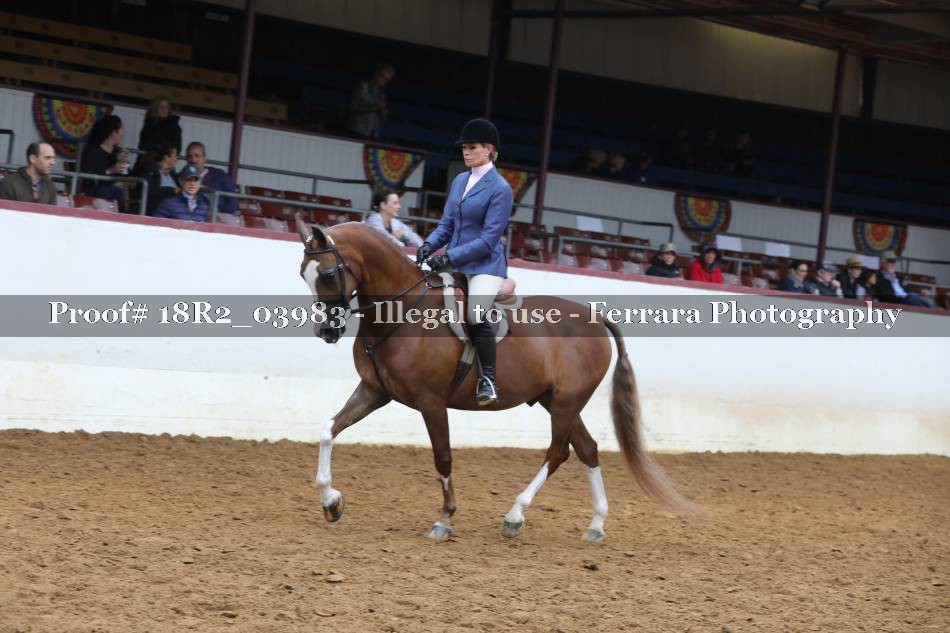 Proof 18R2_03983