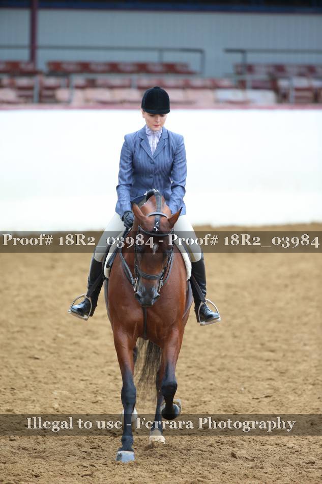 Proof 18R2_03984