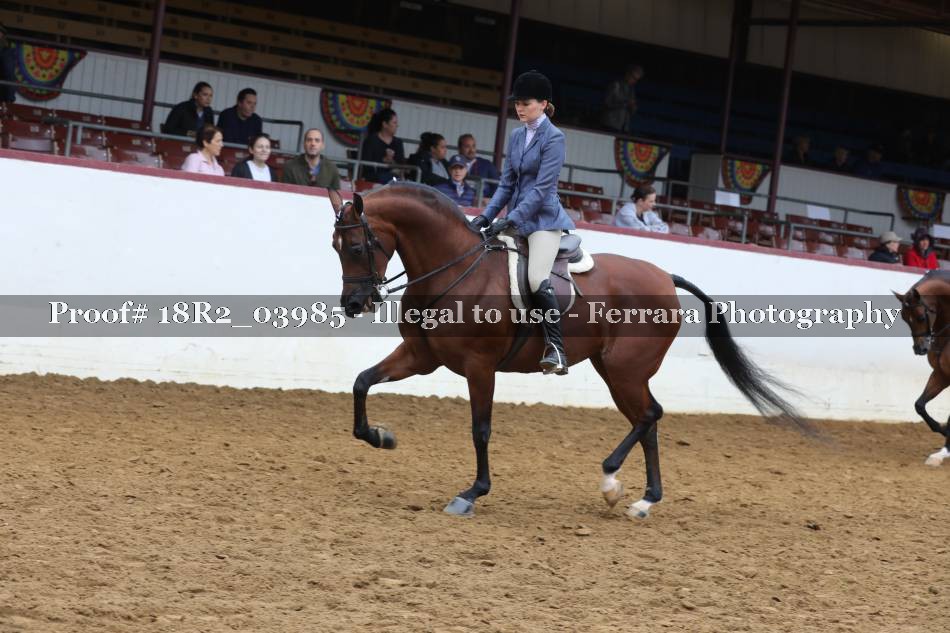Proof 18R2_03985