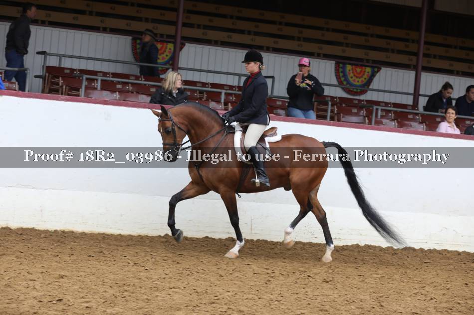 Proof 18R2_03986