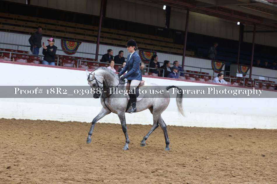 Proof 18R2_03988